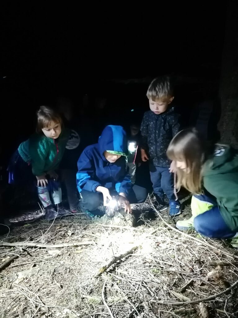 Młodzi obserwatorzy przyrody podczas spaceru "Noc w lesie"